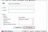 How to Print a Windows Printer Test Page