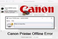 Canon Printer Back Online - Problem Solved Technician using a computer to fix a Canon printer offline error.