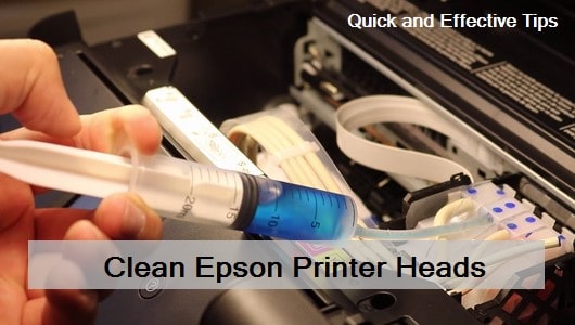 Epson printer head cleaning process with cleaning solution and cotton swabs.
