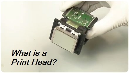 What is a Printhead? Everything You Need to Know About Printer Heads 2 What is a printhead? Learn the function of printer heads in this detailed close-up.