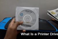 What Is a Printer Driver and Why You Can't Do Without It