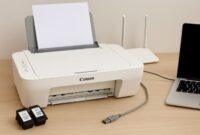 Canon PIXMA MG2522 setup with USB