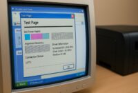 Windows XP printer test page example on computer screen