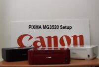 Setting up a Canon PIXMA MG3520 printer for a wireless connection using a laptop.