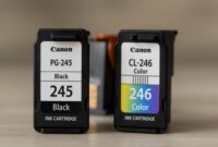 Canon PIXMA TS3100 series ink cartridges showing black and color inks