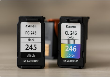 Canon PIXMA TS3100 series ink cartridges showing black and color inks