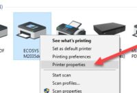 Step-by-step troubleshooting for fixing a printer that is offline.