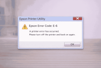 Epson printer error code E-6